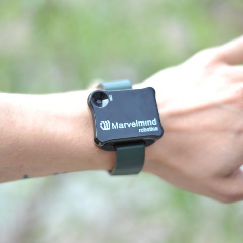 Watch (IA)